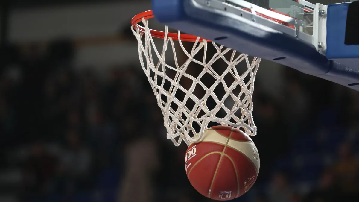 Basket Basket image maxppp usage unique Nouvelle aquitaine