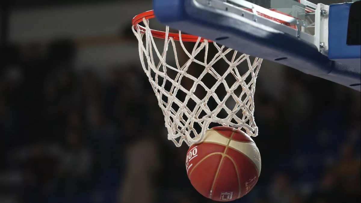 PHOTO BASKET GENERIQUE PHOTO BASKET
