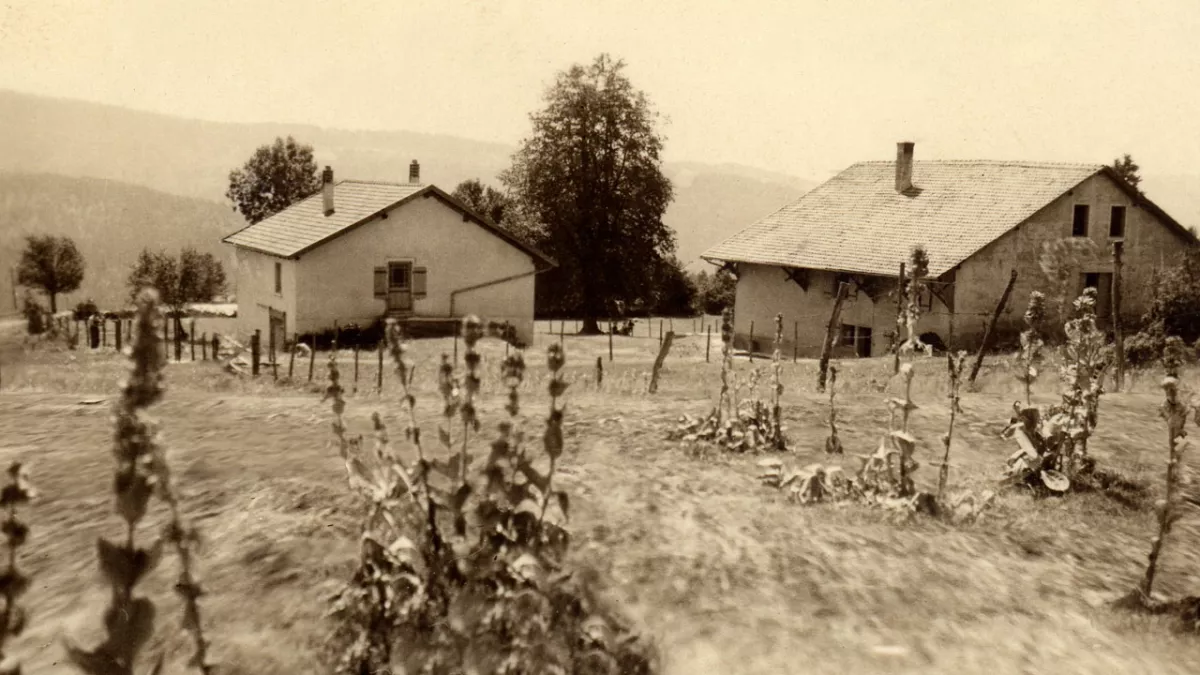 Colonie des barboux
