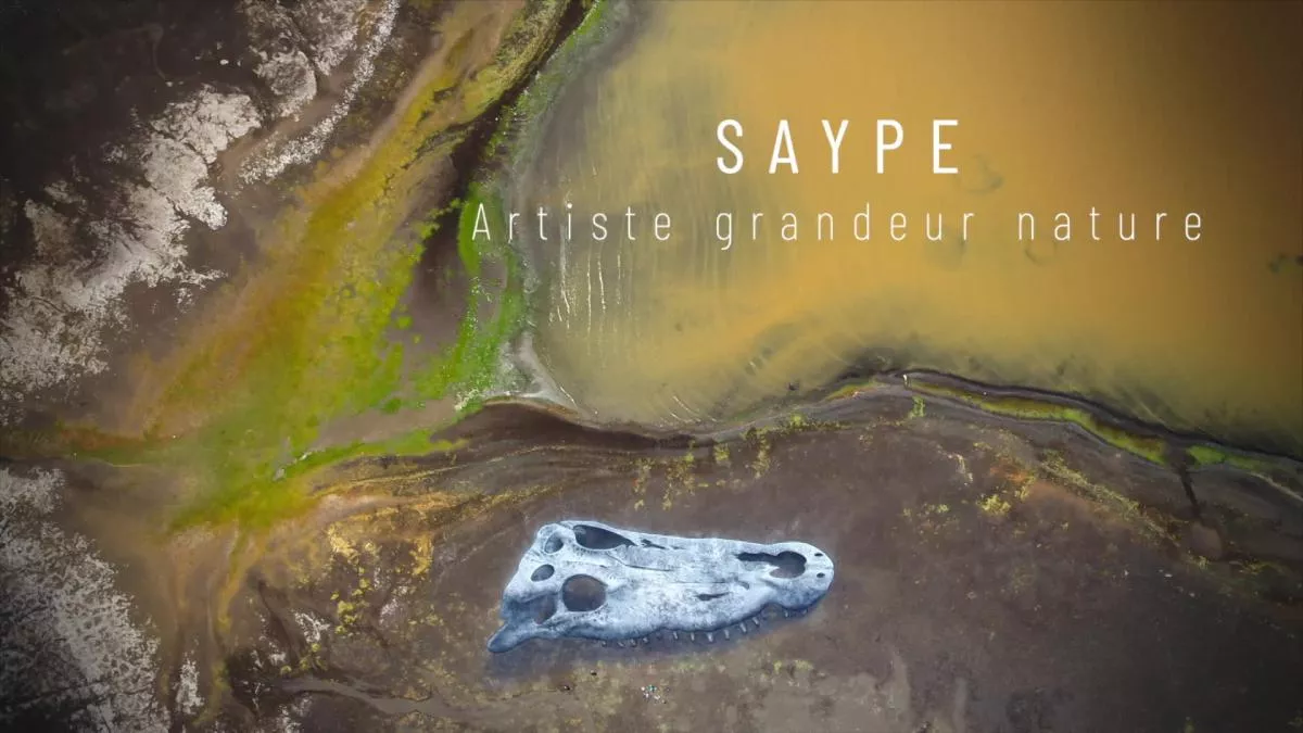 saype doc titre saype