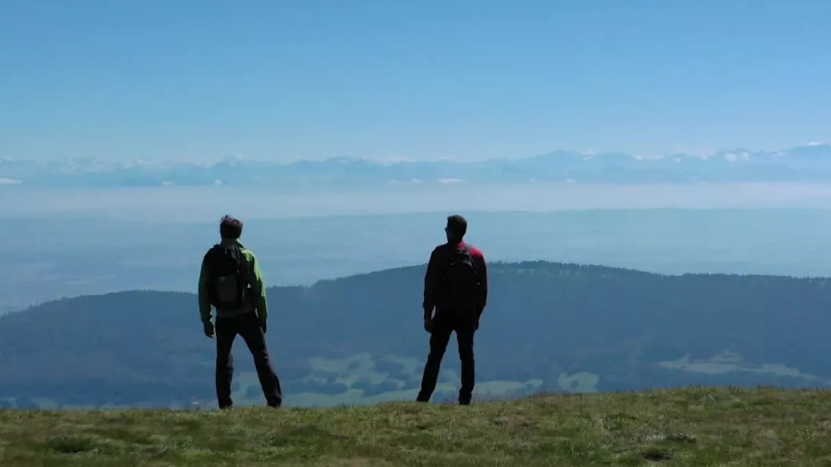 TALE mont d'or