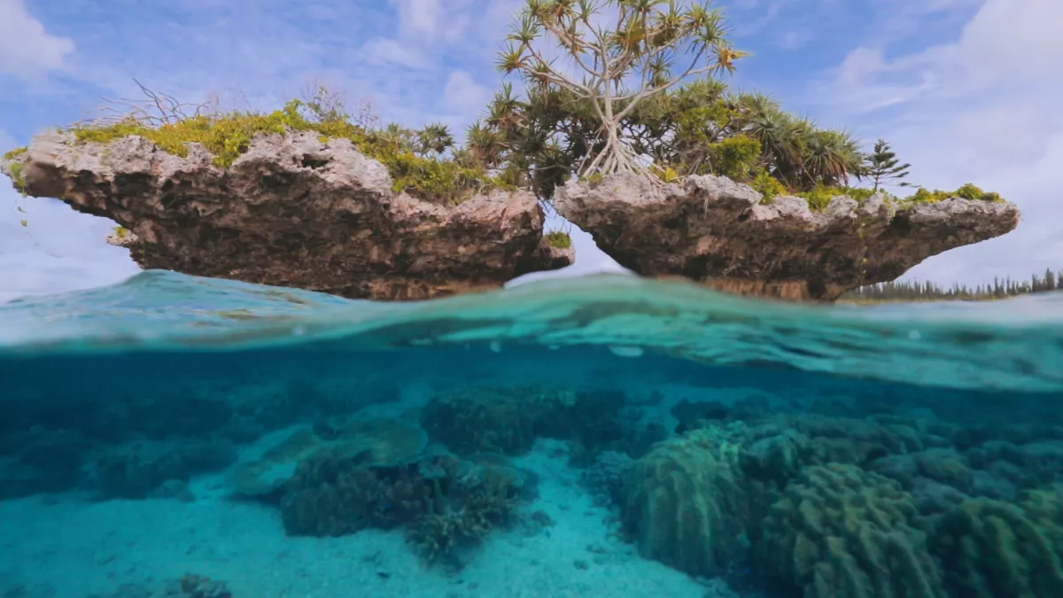 l'île des pins le dernier sanctuaire