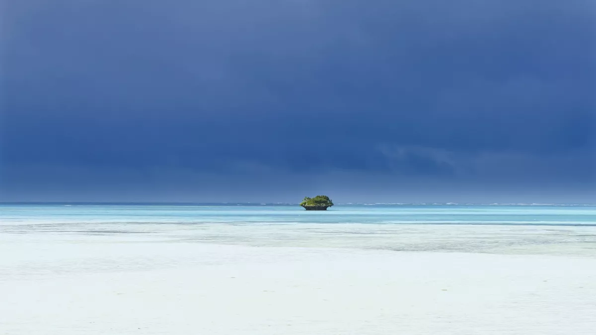 l'île des pins le dernier sanctuaire