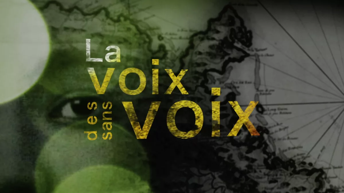Webdocumentaire : La voix des sans voix Webdocumentaire : La voix des sans voix