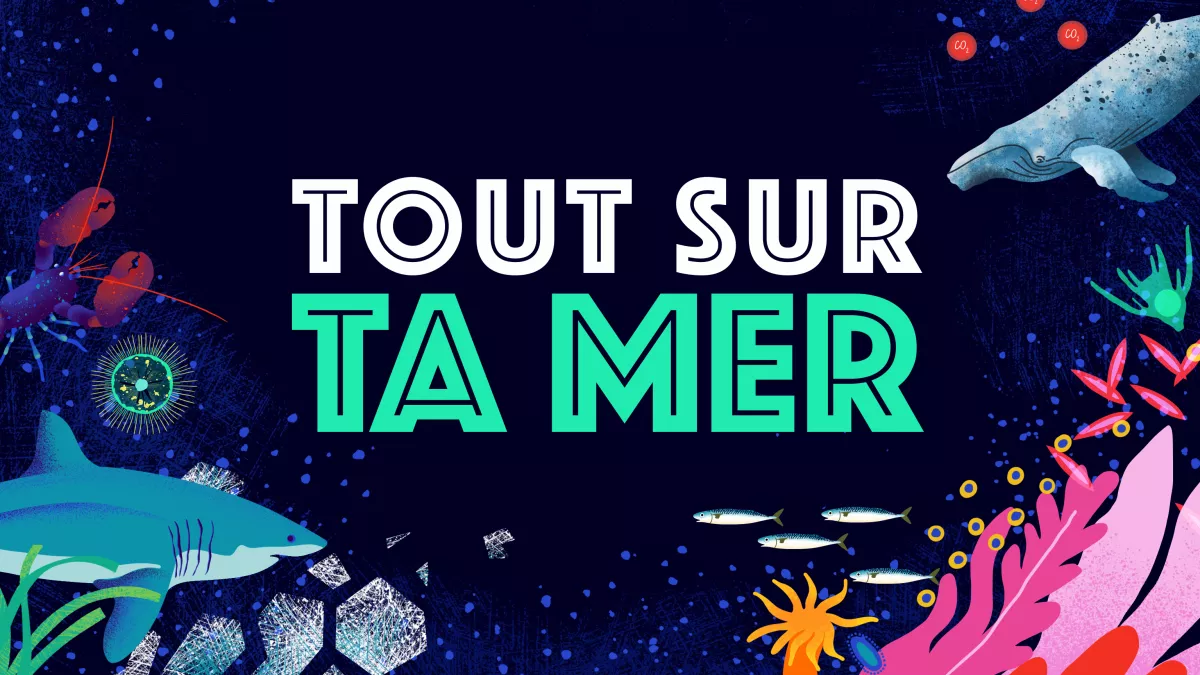 Visuel emblématique Tout sur ta mer avec des éléments marins