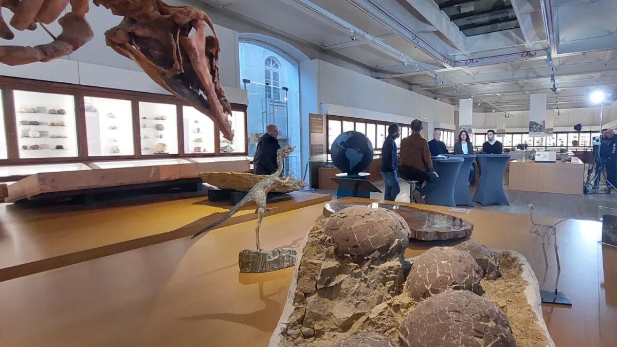 DEP - Muséum d'histoire naturelle de Nantes DEP - Muséum d'histoire naturelle de Nantes