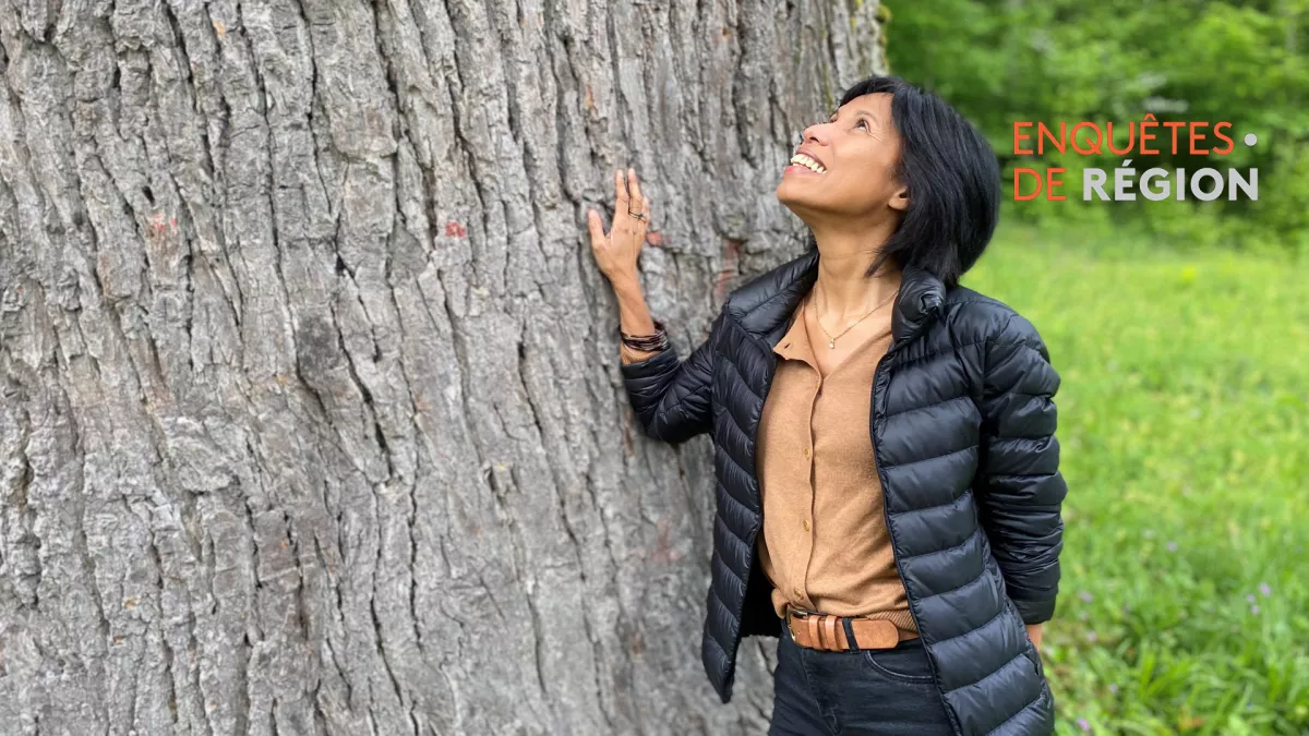 Enquêtes de région - Sylvie Malal - Réchauffement - Dérèglement climatique CREDIT FTV Sylvie Malal au pied d'un immense arbre du parc national de forêts