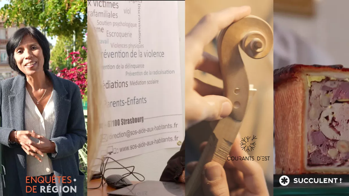 Enquêtes de région - l'eau / Tout près d'elles / Mirecourt terre de luthiers / Le pâté en croute - Succulent ! Enquêtes de région - l'eau / Tout près d'elles / Mirecourt terre de luthiers / Le pâté en croute - Succulent !