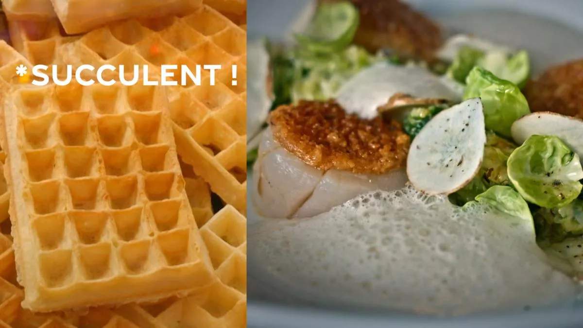Succulent ! - La gaufre