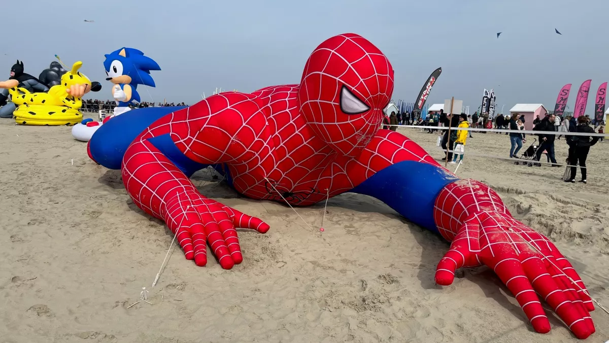 Cerf volant Berck 2023