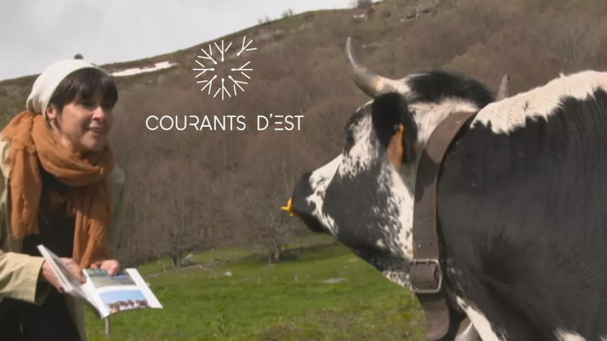 Courants d'Est - transhumance Courants d'Est - transhumance