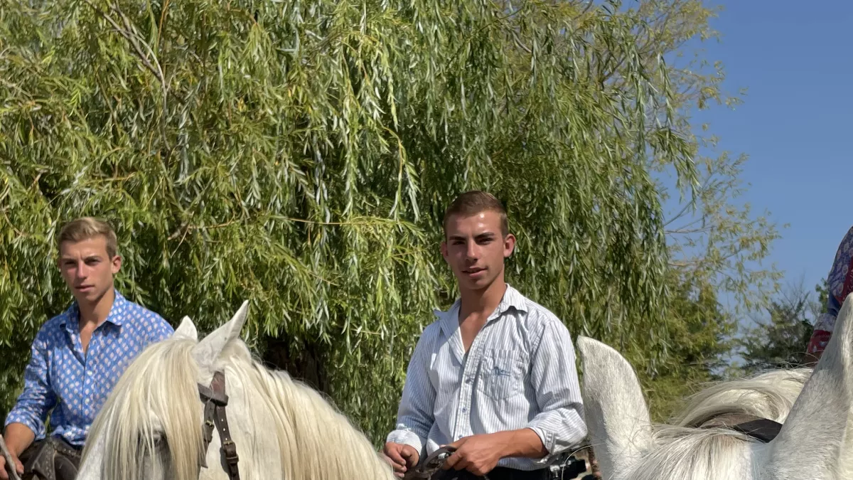 Ô la belle vie - Fière et intrépide, la petite Camargue Ô la belle vie - Fière et intrépide, la petite Camargue