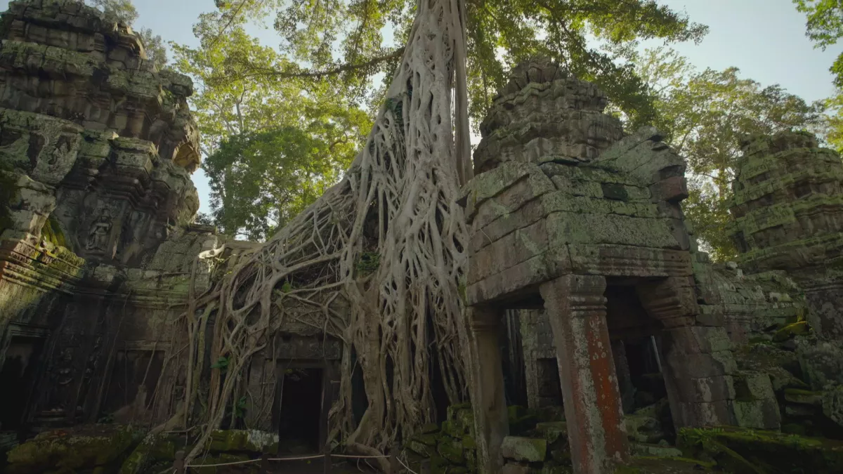 Angkor et les mystères de l'empire Khmer © Windfalls Film Angkor et les mystères de l'empire Khmer © Windfalls Film