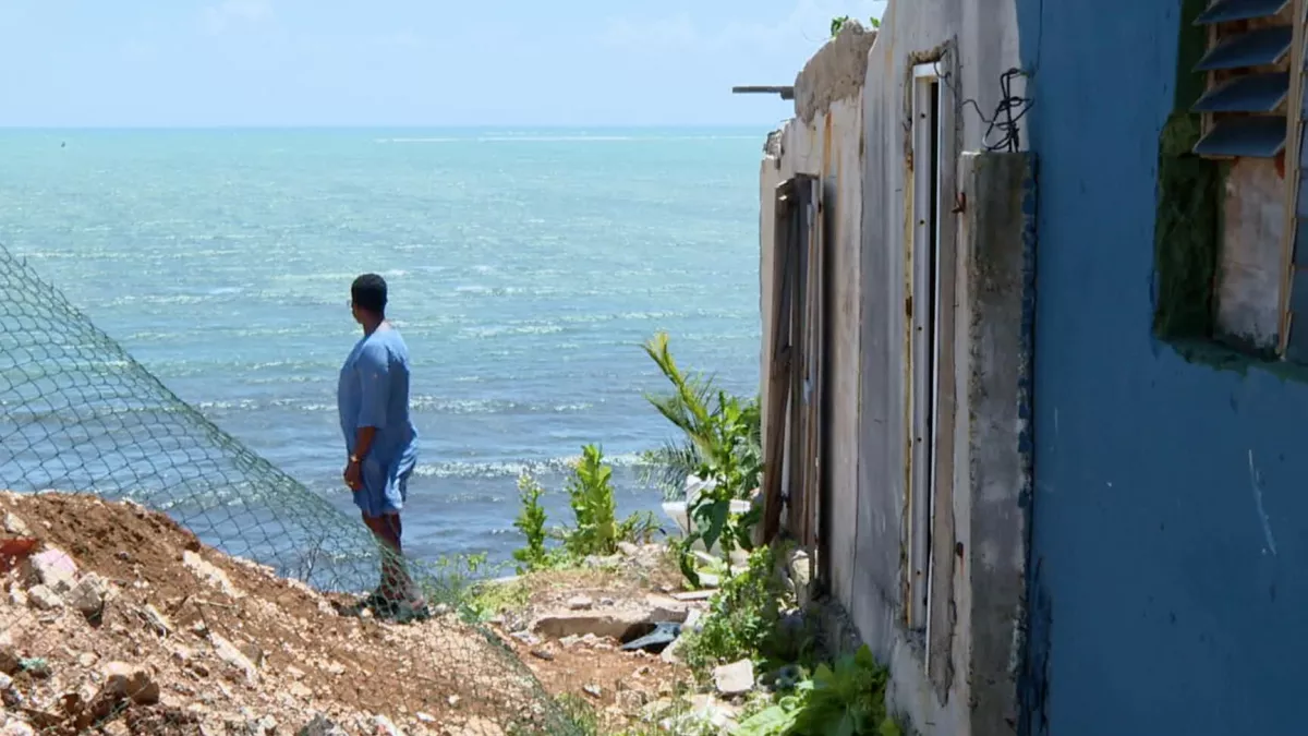 Climat : Des résistants en Outre-mer Climat : Des résistants en Outre-mer © Cinétévé