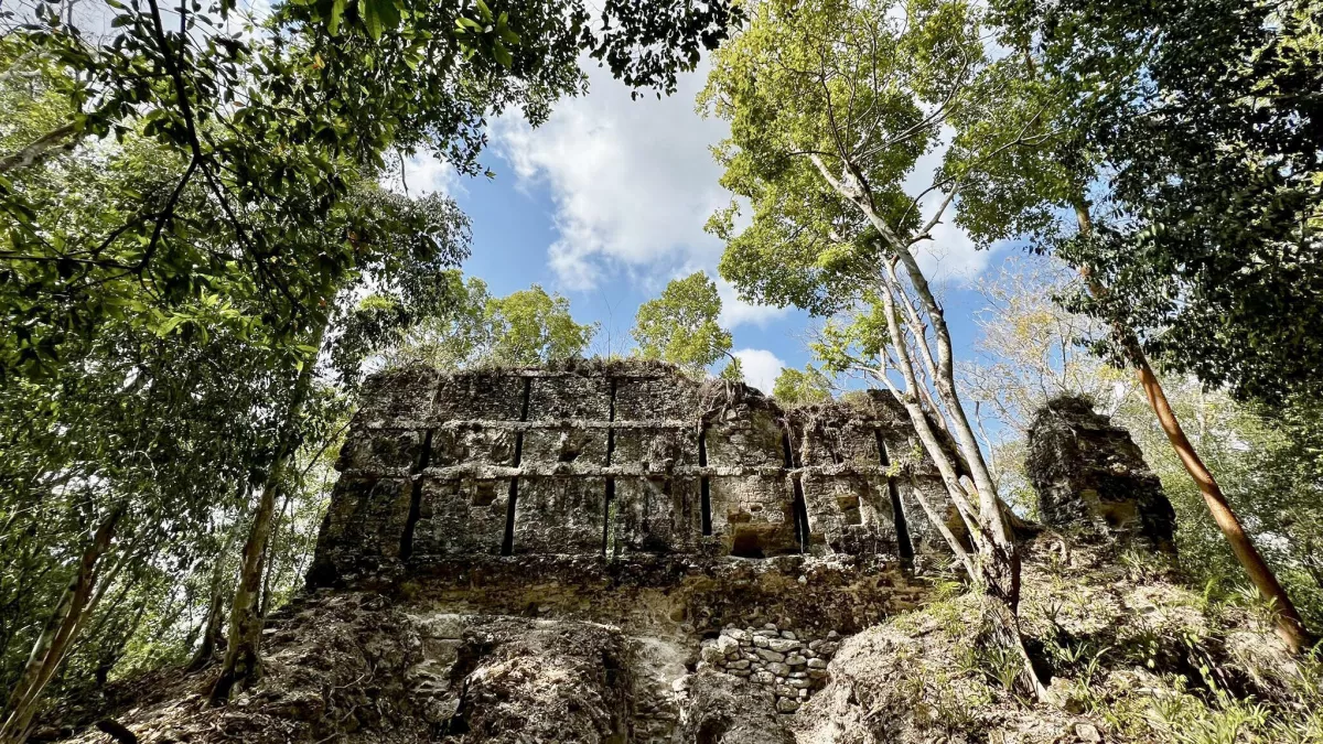 © One Planet NAACHTUN LE ROYAUME MAYA REVELE