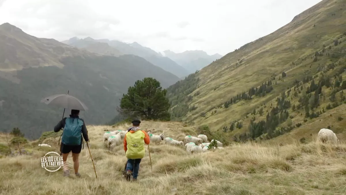 Les 100 lieux - Les Pyrénées, terre d'histoire et de transhumance