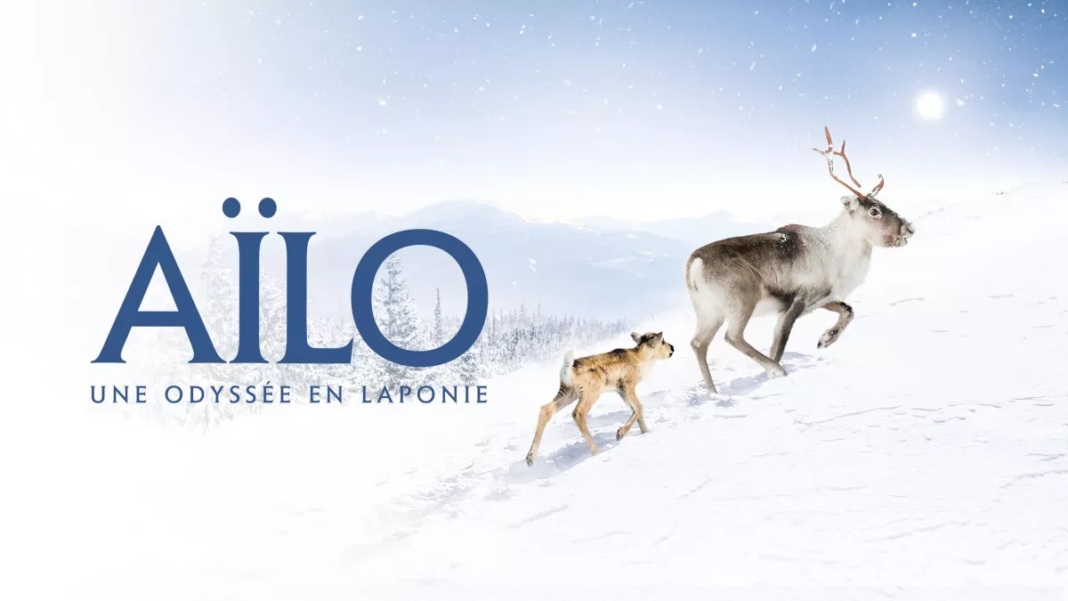Aïlo