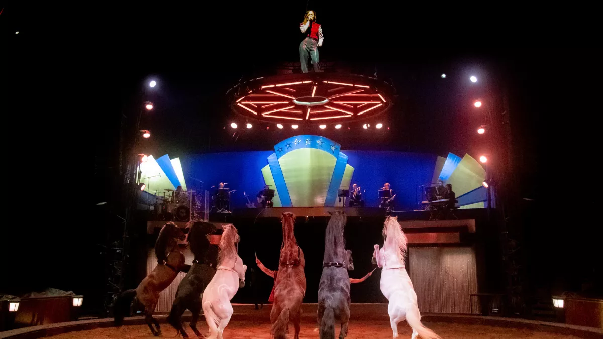 Les Folies Gruss