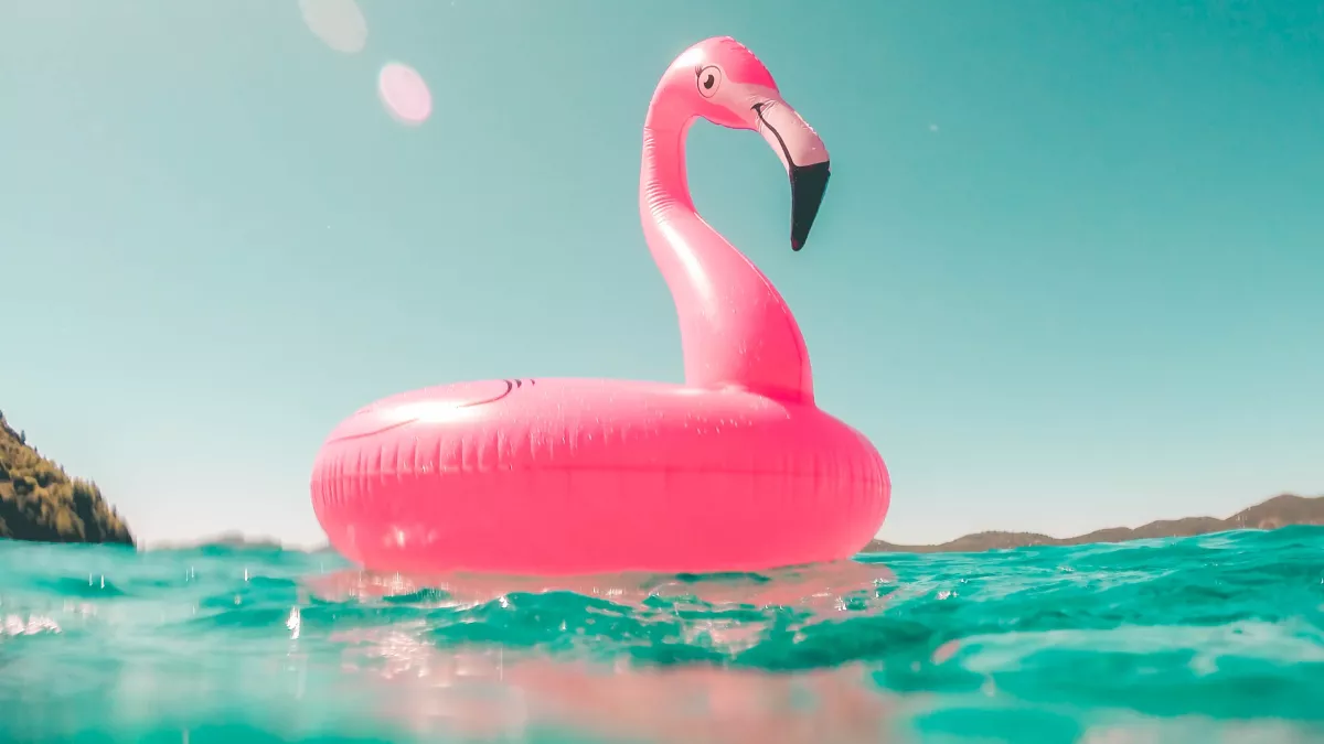 Série de l'été PDL Bouée flamant rose
