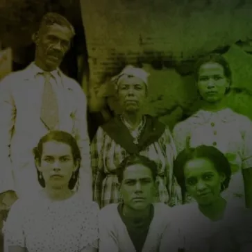 Webdocumentaire : La Voix des Sans Voix
