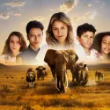 Big five programme temps fort