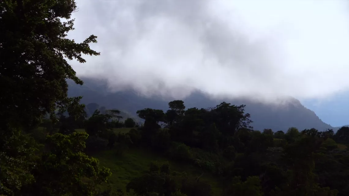 Paysage Goyave