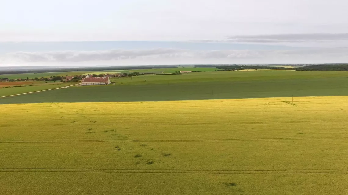 POUR QUELQUES HECTARES DE PLUS