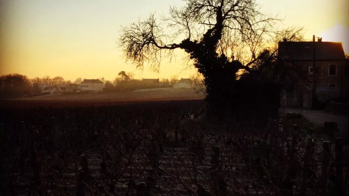 Mercurey le soir