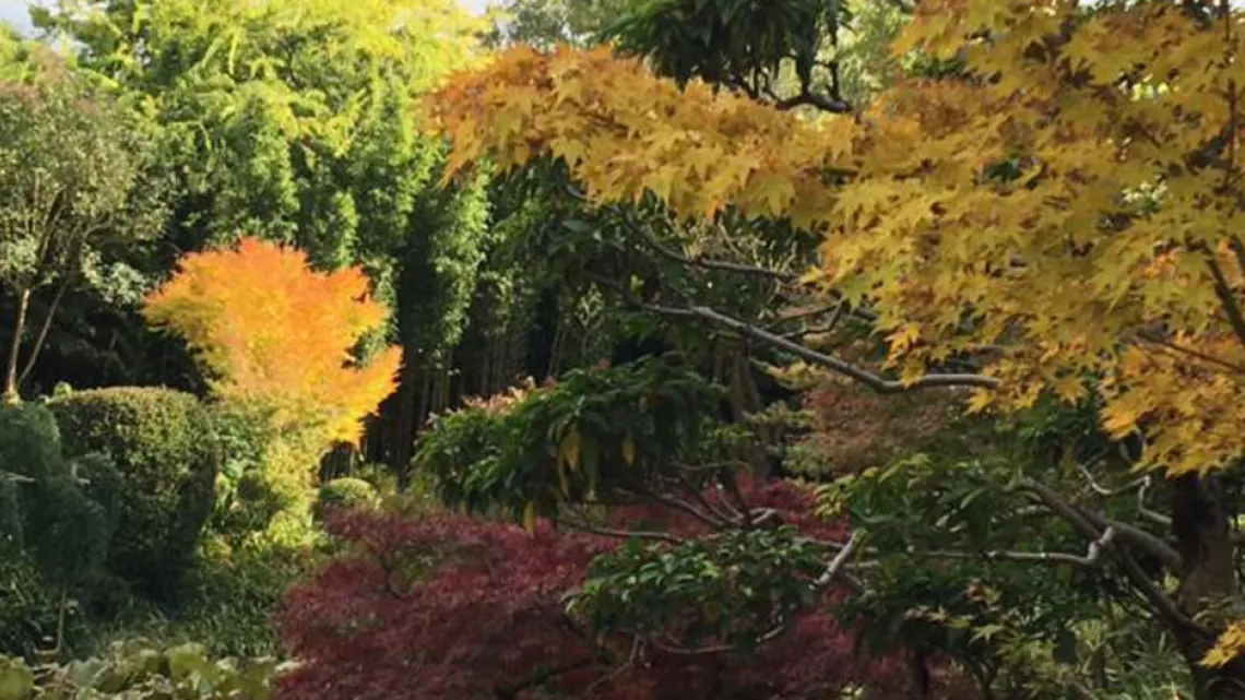 jardin zen 