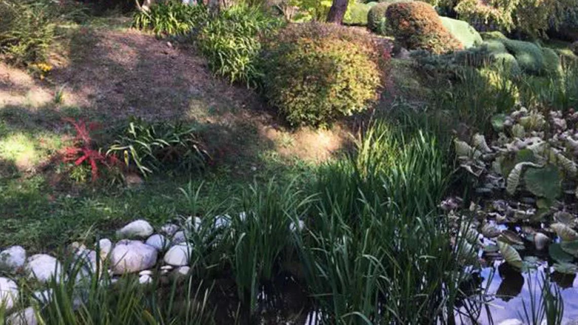 Le jardin zen d'Erik Borja 