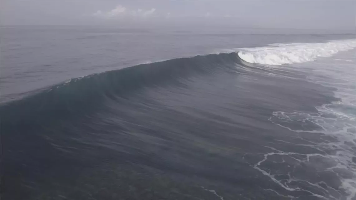 SURF QUI PEUT !