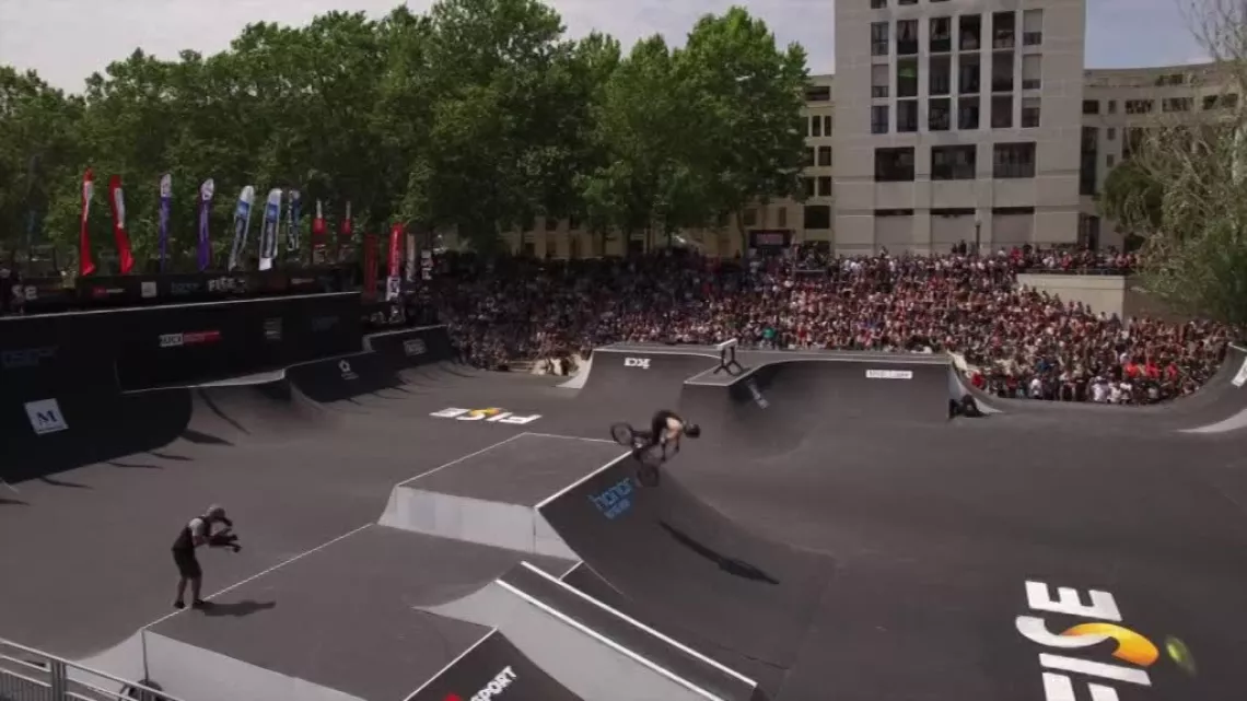 public fise