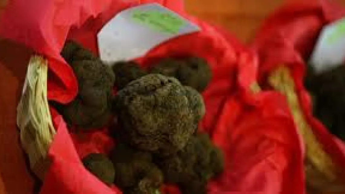 truffes
