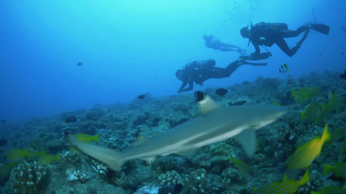 UNE SAISON À TAHITI
