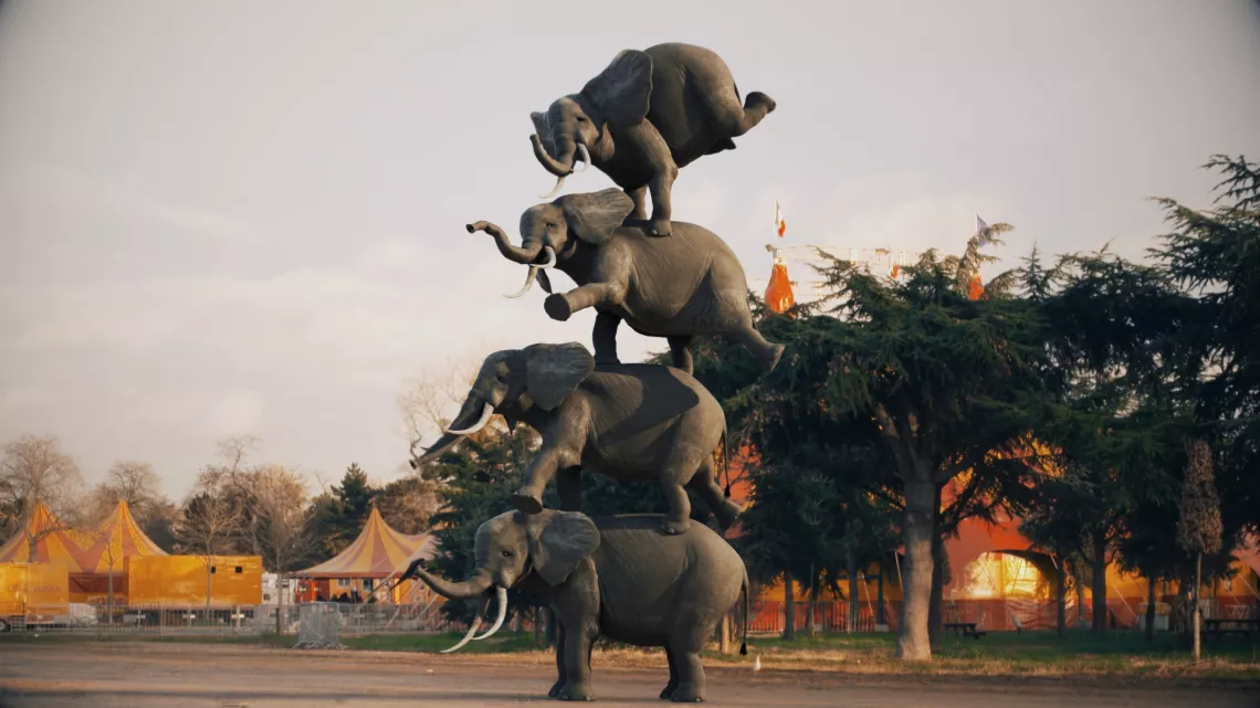 elephants