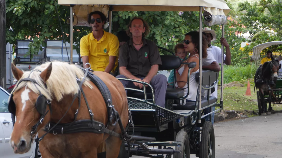 Galop sur le Tombolo