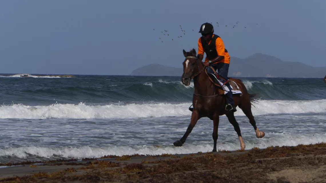 Galop sur le Tombolo 