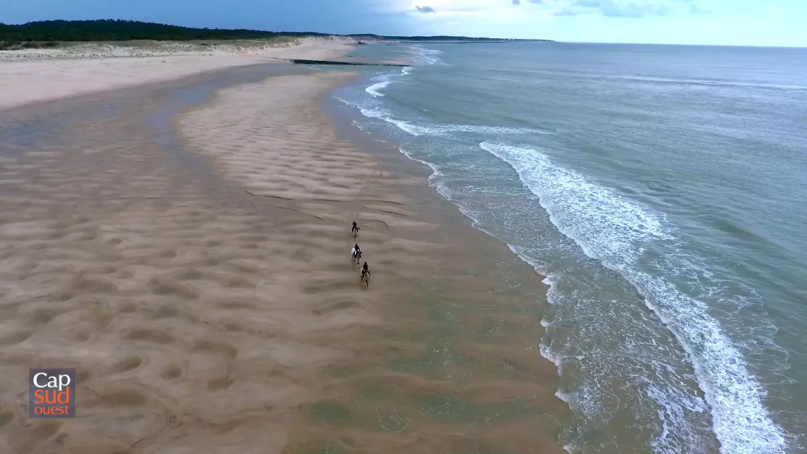 Médoc