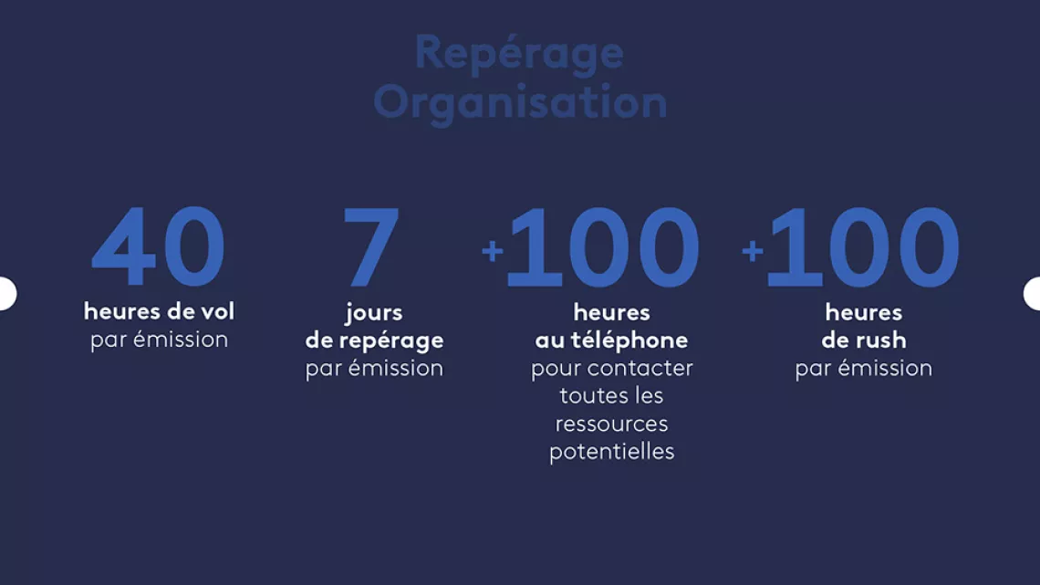 Organisation