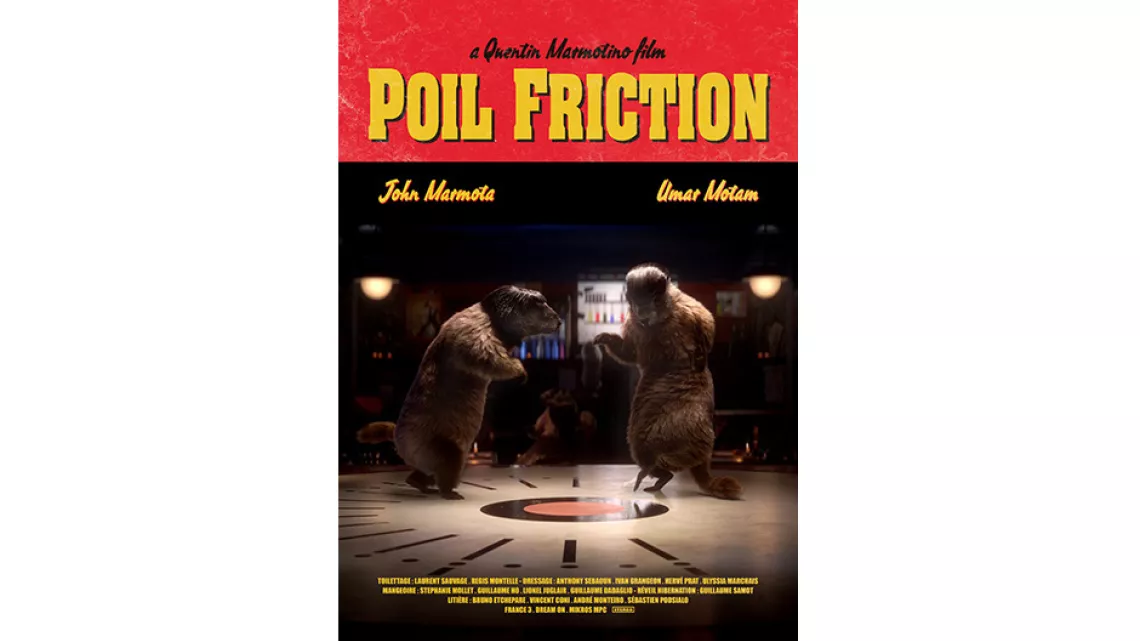 Poil friction 