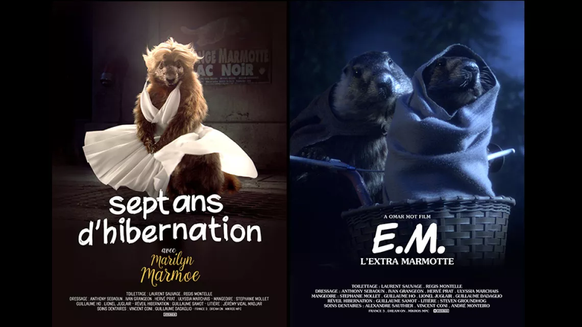 sept ans  et EM