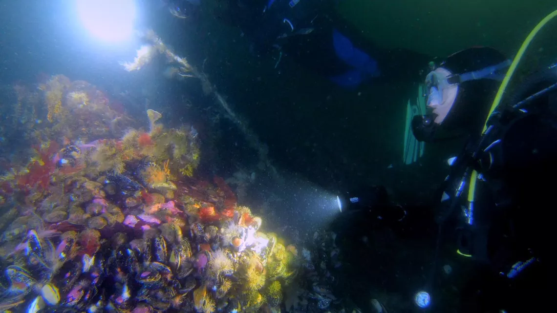 L'AVENTURE CONTINUE AVEC CELINE COUSTEAU
