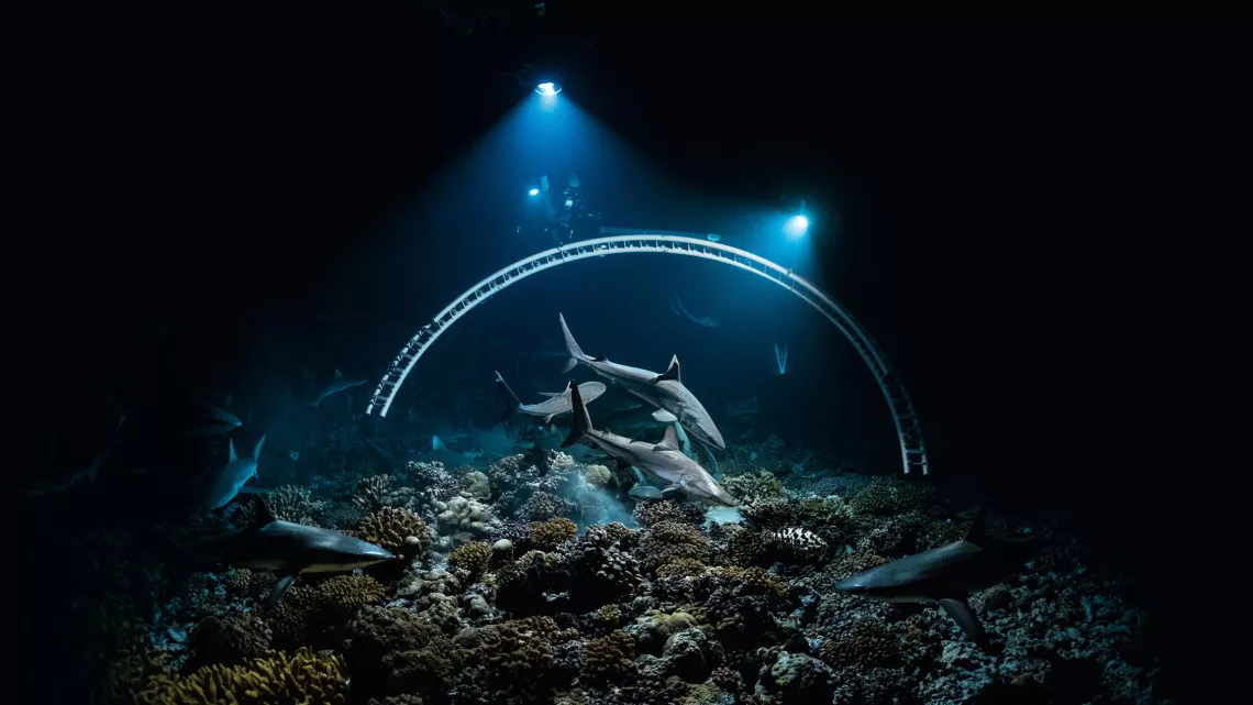 L'ATOLL AUX 700 REQUINS