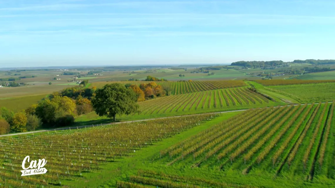 Cognac