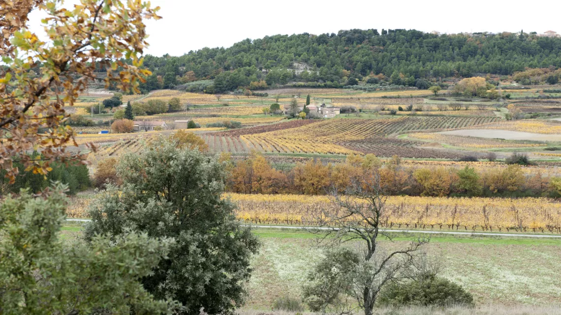 MEURTRES AU MONT VENTOUX
