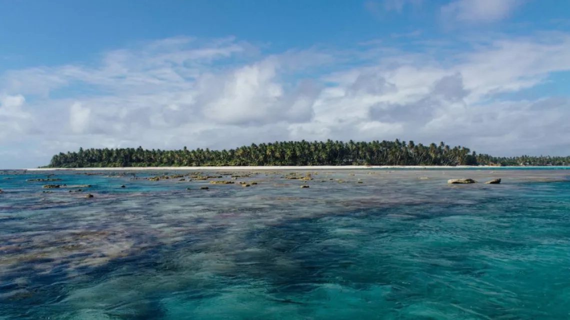 the island in me