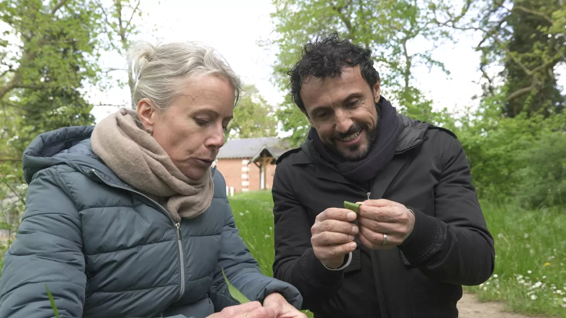 Willy vient déjeuner chez vous à Chatillon sur Loire