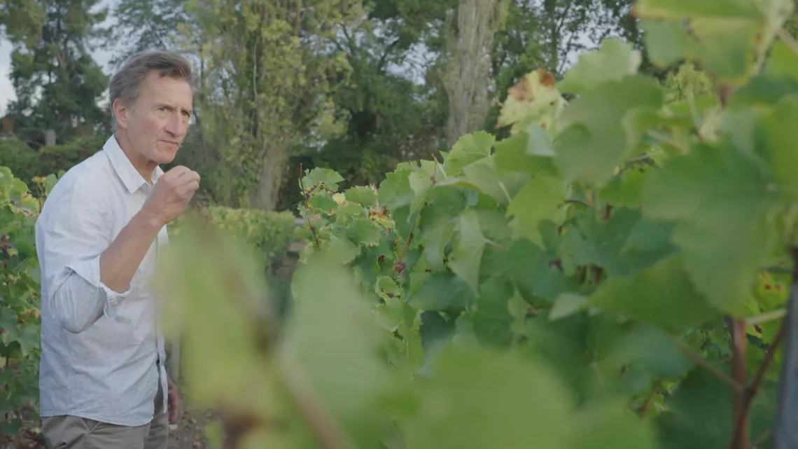 Lurton, les maîtres du vin