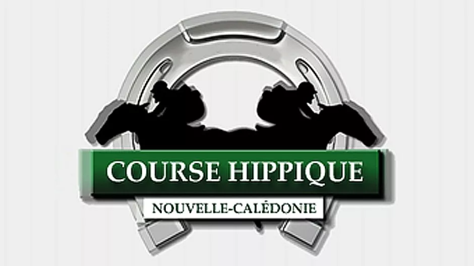 courses_hippiques