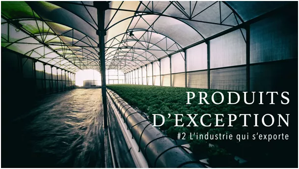 ©neoprod produits d'exception